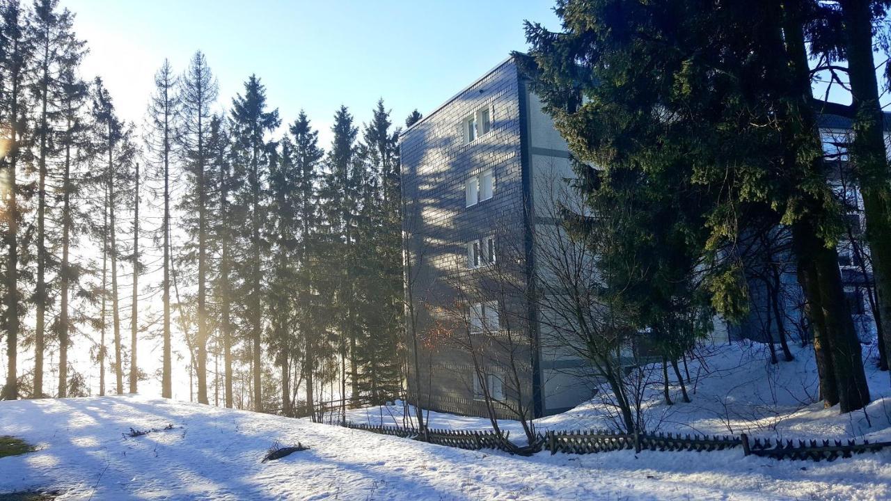 Ferienappartement Winterberg - Bikepark Um Die Ecke Eksteriør billede